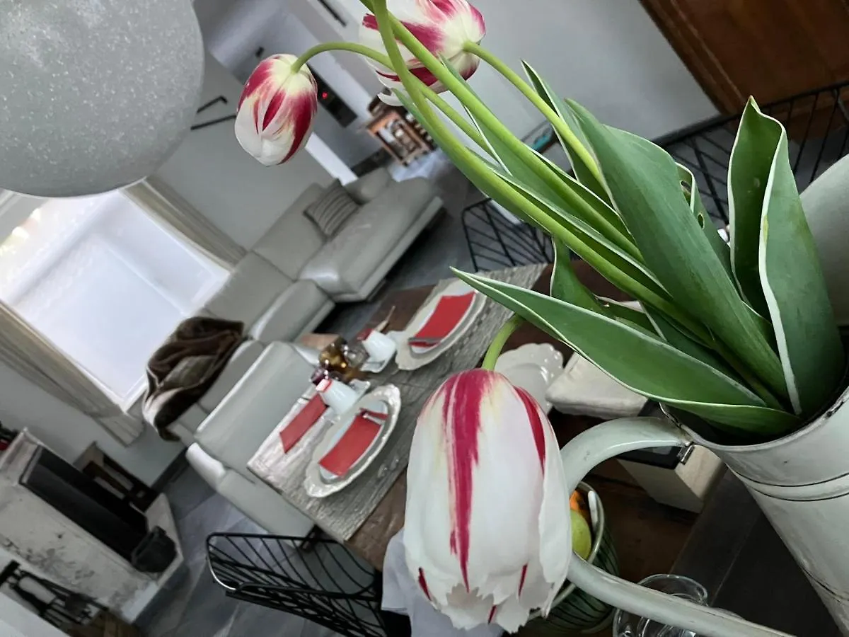 B&B My Suite Home Bruges 5*,  Belgium