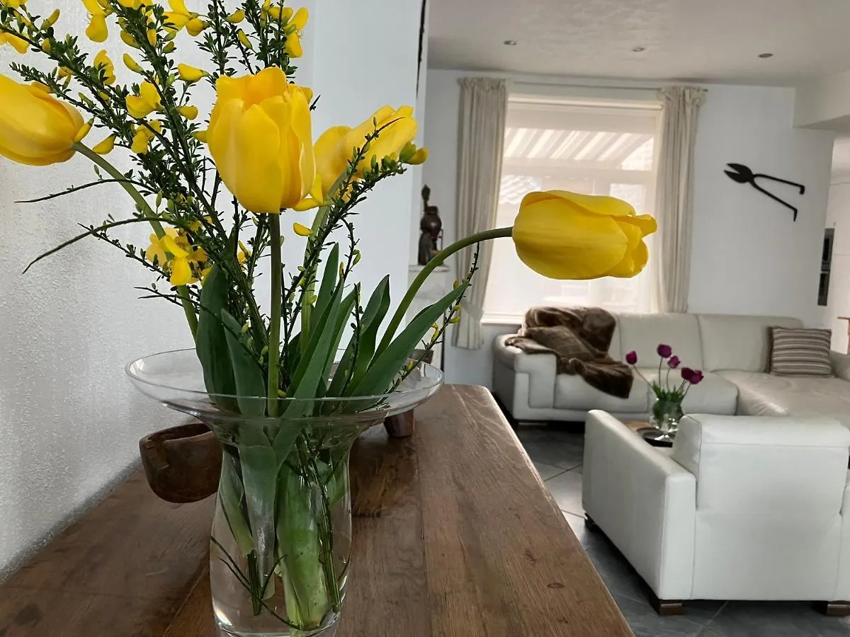 Bed & Breakfast B&B My Suite Home Bruges